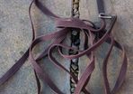 equine draw reins new unused