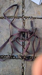 equine draw reins new unused