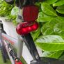 Shogun mountain bike Image 6