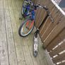 Free bicycle Image 4