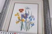 Framed Wildflower Print - Floral Instant Art - Botanical Art- Spring Flowers
