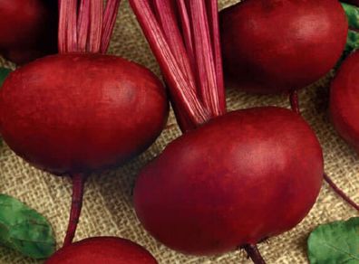 (B) Beetroot seeds D'Egypte 5g (123278)