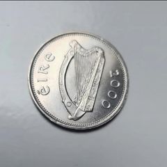 Millennium punt