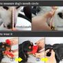 Dog Safety Anti bark Muzzle Image 4