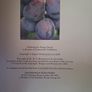 The Fruit Expert / Dr. D. G. Hessayon / 2006 Image 4