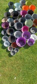 plant pot bundle