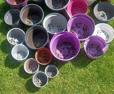 plant pot bundle