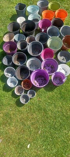plant pot bundle