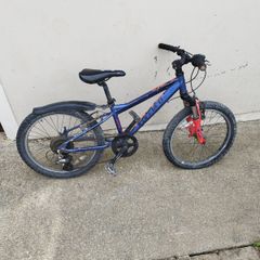 Carrera Blast Junior Mountain Bike - 20" Wheel