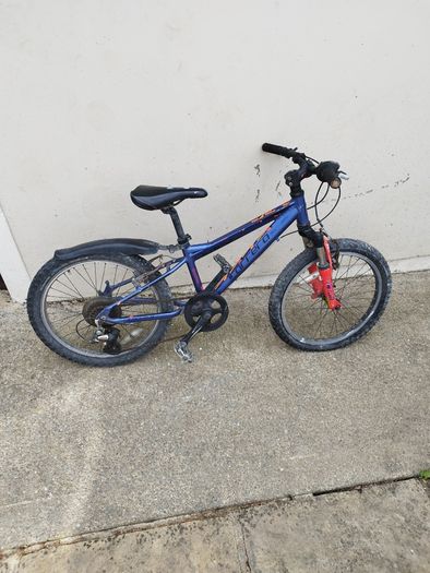 Carrera Blast Junior Mountain Bike - 20" Wheel
