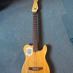 Godin Acousticaster