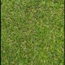 High Quality Artificial grass 45mm 120X530 cm Image 2