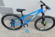 mountain bike
