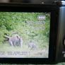 Panasonic LUMIX DMC-FS30 14.1MP Digital Camera 4Gb SD Card (universal charger) Tested Image 9
