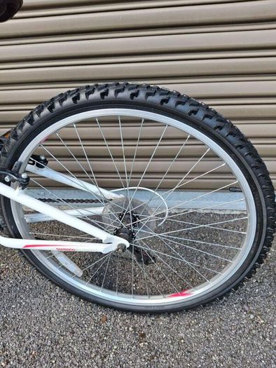 Bicycles ( Lady's Apollo )