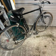 Raleigh Bike