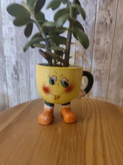 plant with plant holder
