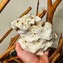 Premium Lime Rocks Image 3
