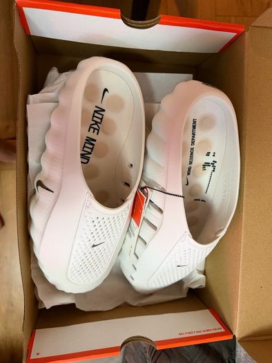 shoe