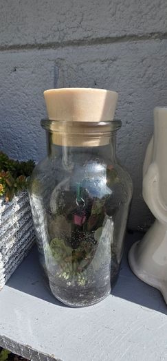small terrarium