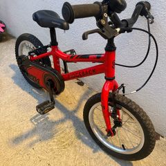 Raleigh Ridgeback MX14