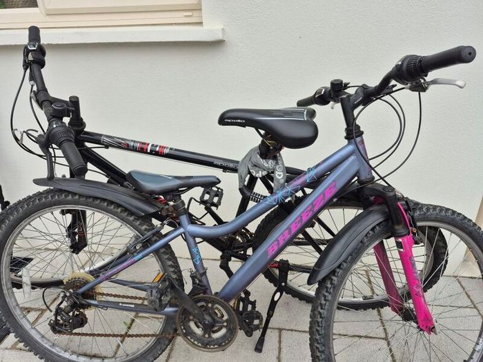 2 adult bikes