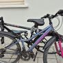 2 adult bikes Image 8