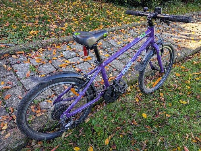 frog bike 55