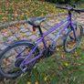 frog bike 55 Image 3