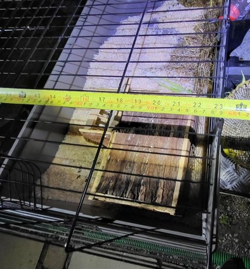 XXLarge  guinea pig & rabbit cage