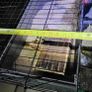 XXLarge  guinea pig & rabbit cage Image 4