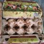 crickets reptile food Image 2