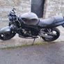 triumph Image 2
