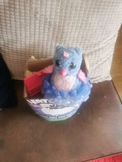 hatchimal