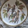 2 Decorative Plates "Songbirds of The World" Bohemian Waxwing And Baltimore Oriole Image 3