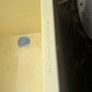 Grooming kennel dog shower Image 3