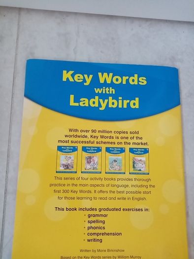 Ladybird activity book