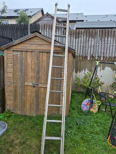 ladder