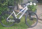 Ladies bike