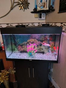 fish tank