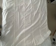 roman blind