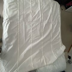 roman blind