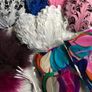 Feather Bundle Image 4