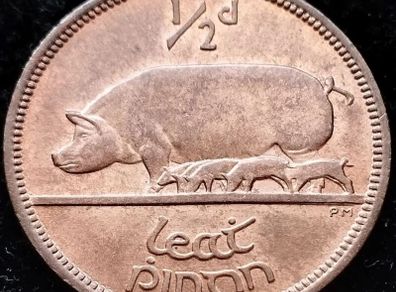[#58] - Ireland 1964 | Irish 1/2d | Irish Half Penny | KM.10 | UNC