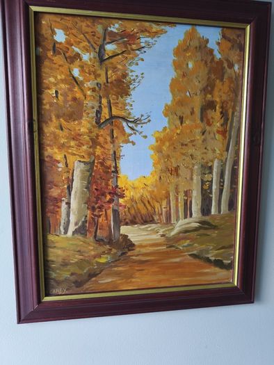 Lovely oil on board of forest land scape singed M Carey.