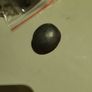 Shungite Crystals Image 4