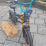 Fiido M1 Pro Fat Tire Electric Bike Image 2