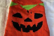 Dog Pumpkin Halloween Jumper Size S!