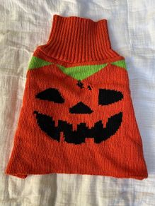 Dog Pumpkin Halloween Jumper Size S!