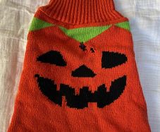 Dog Pumpkin Halloween Jumper Size S!
